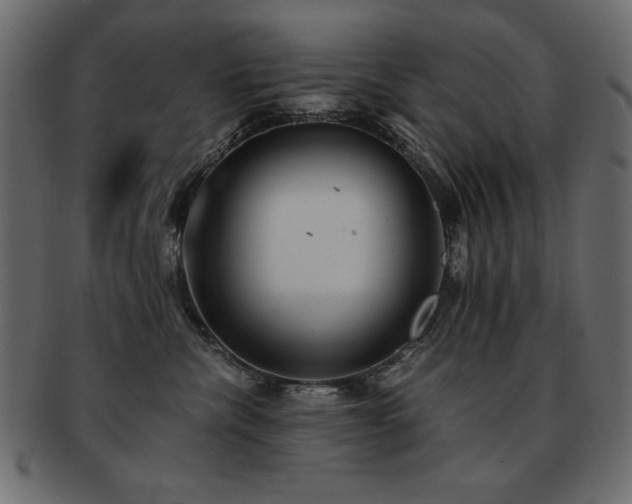 X0000093120476200709261332