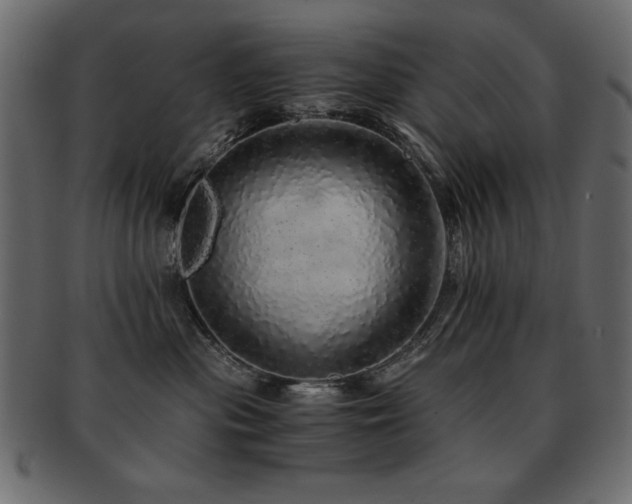 X0000093120477200709261332