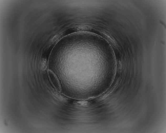 X0000093120478200709261332