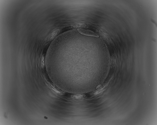 X0000093120479200709261332