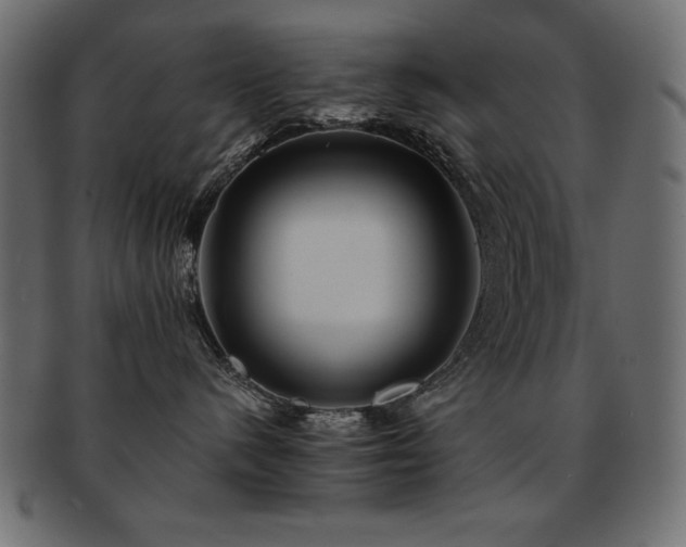 X0000093120480200709261332