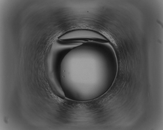 X0000093120481200709261331