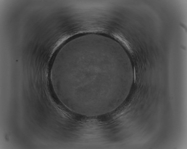 X0000093120483200709261331