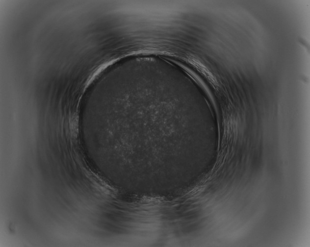 X0000093120484200709261331