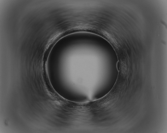 X0000093120486200709261331