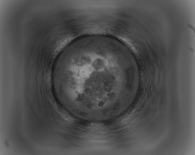 X0000093120487200709261331