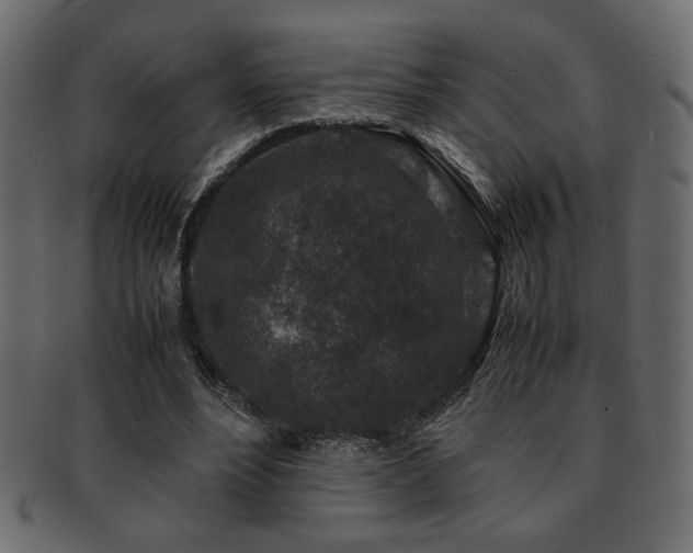 X0000093120488200709261331