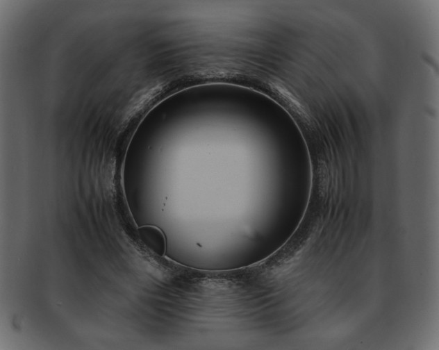 X0000093120490200709261331