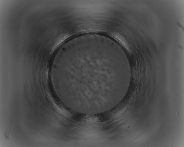 X0000093120491200709261331