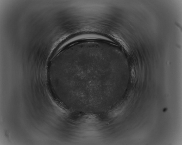 X0000093120492200709261331