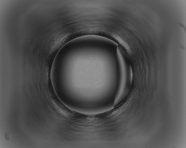 X0000093120493200709261331