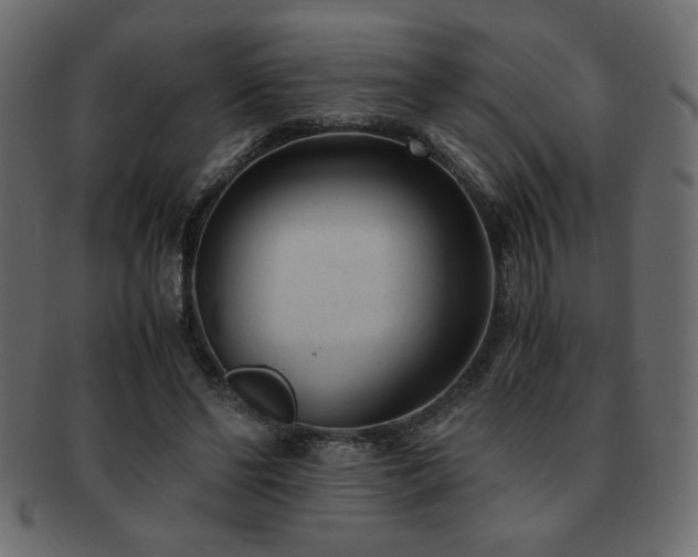 X0000093120494200709261331