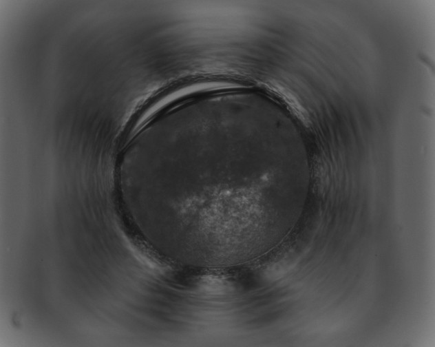 X0000093120496200709261331