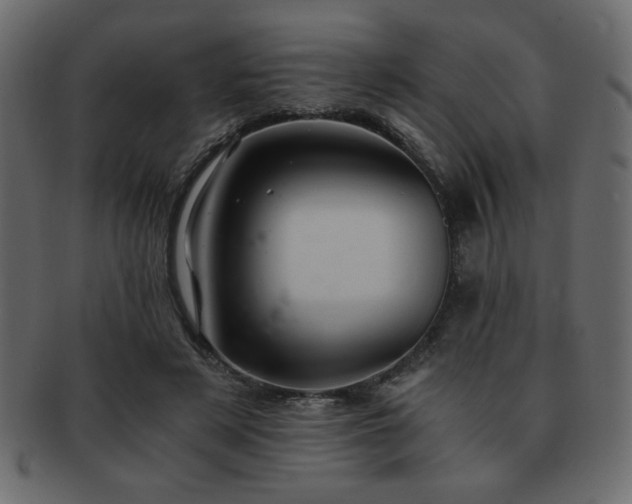 X0000093120497200709261331