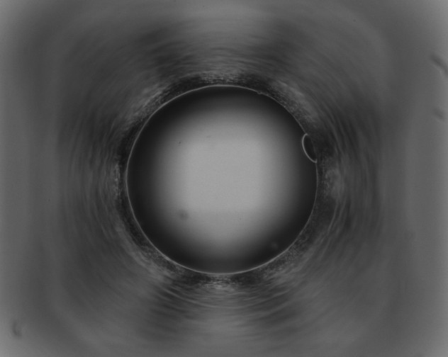 X0000093120498200709261331