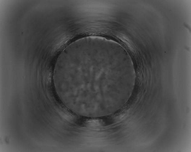 X0000093120499200709261331