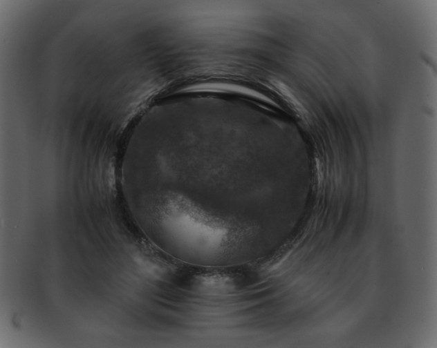 X0000093120500200709261331