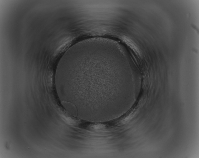 X0000093120501200709261331