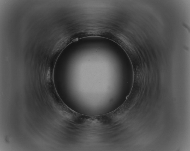 X0000093120502200709261331