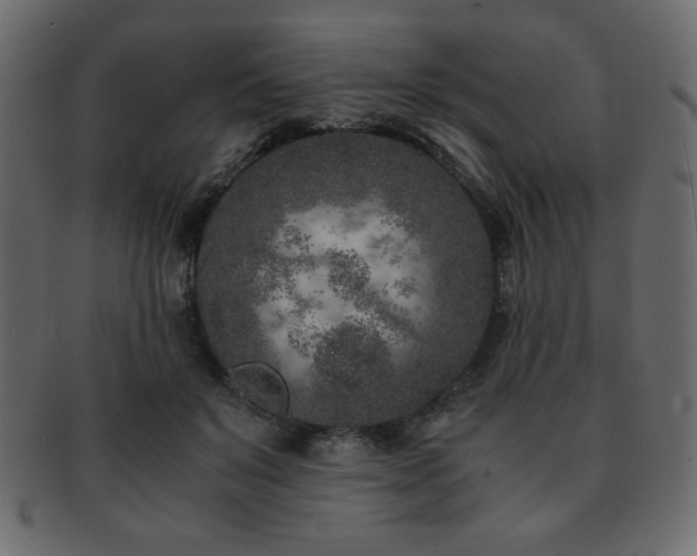 X0000093120503200709261331