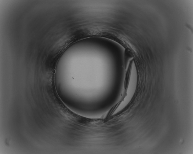 X0000093120505200709261331