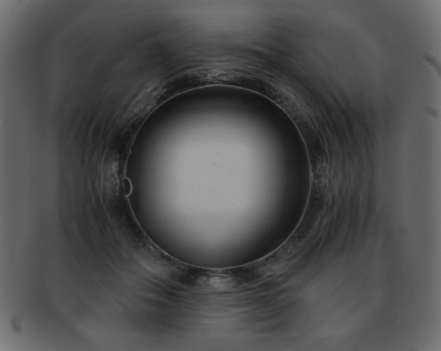 X0000093120506200709261331
