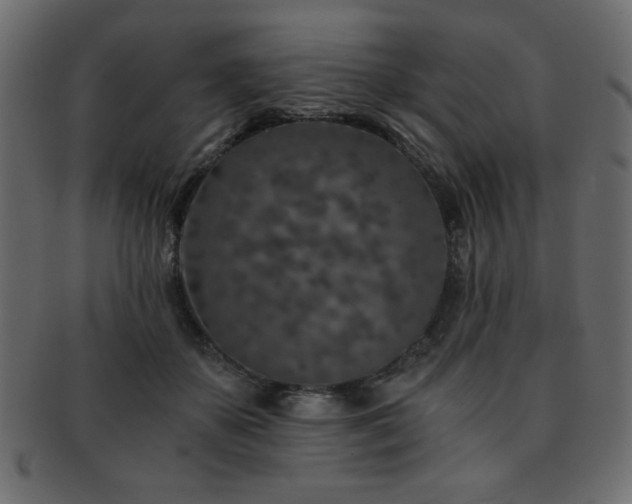 X0000093120507200709261331