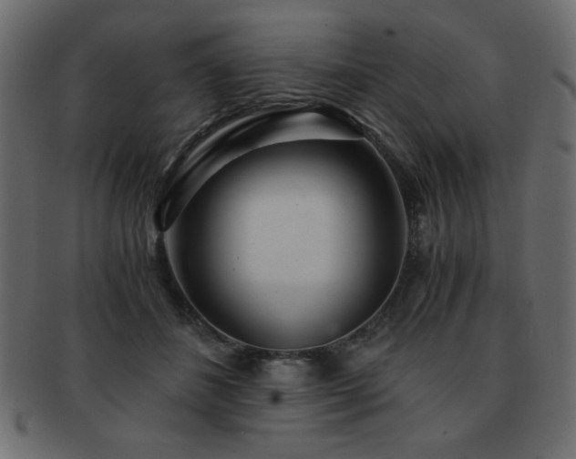 X0000093120508200709261331