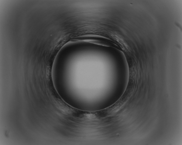 X0000093120509200709261330