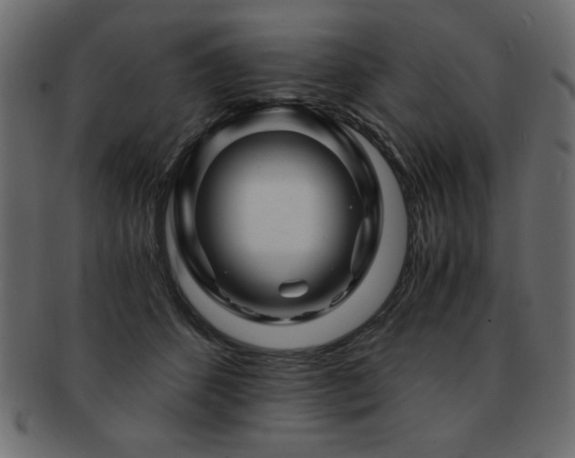 X0000093120512200709261330