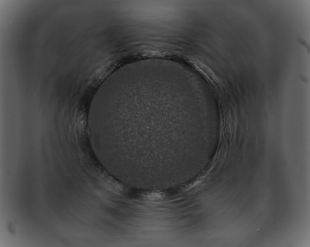 X0000093120513200709261330