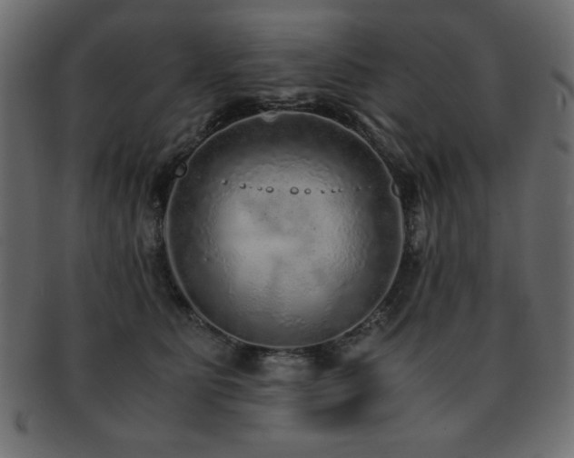 X0000093120515200709261330