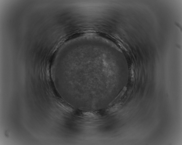 X0000093120516200709261330
