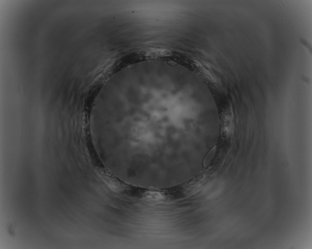X0000093120519200709261330