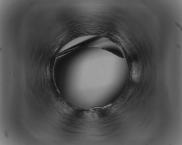 X0000093120520200709261330