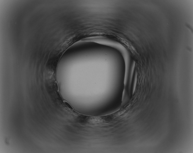 X0000093120521200709261330
