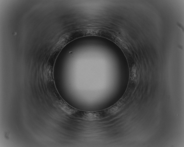 X0000093120522200709261330