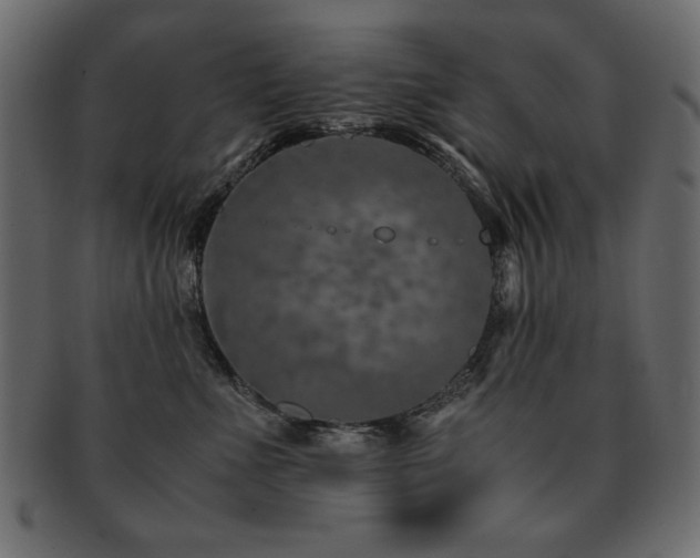 X0000093120523200709261330