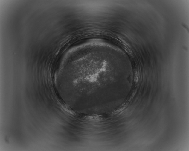 X0000093120524200709261330