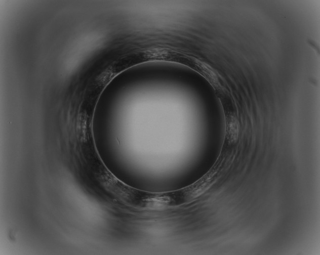 X0000093120525200709261330