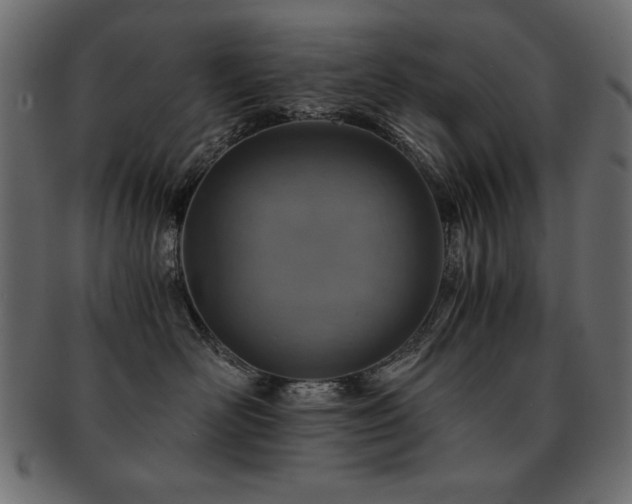 X0000093120526200709261330