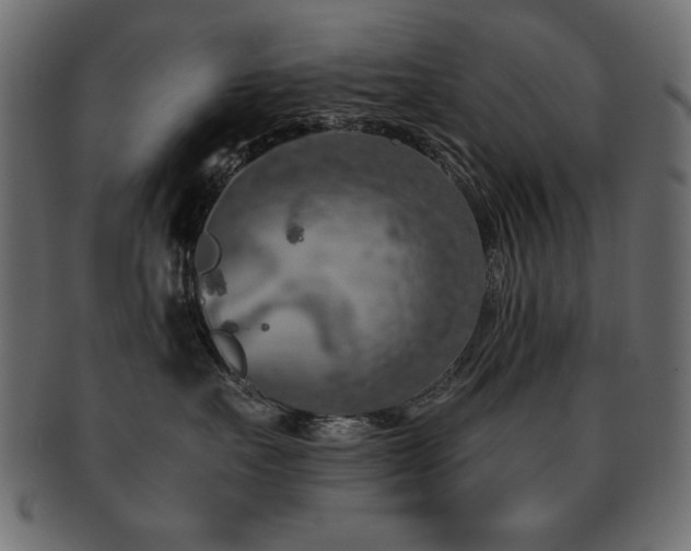 X0000093120527200709261330