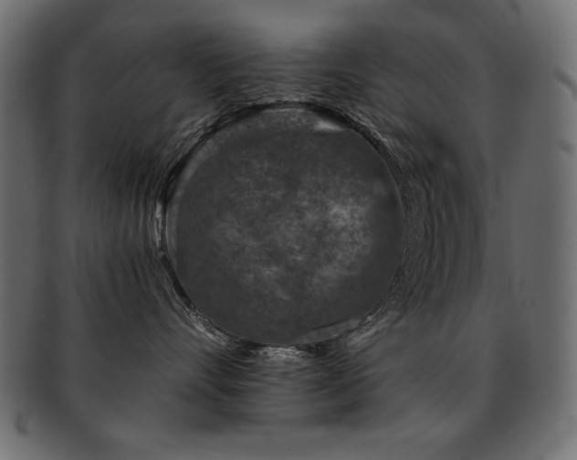 X0000093120528200709261330