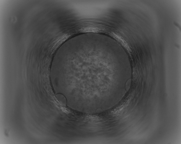 X0000093120529200709261330