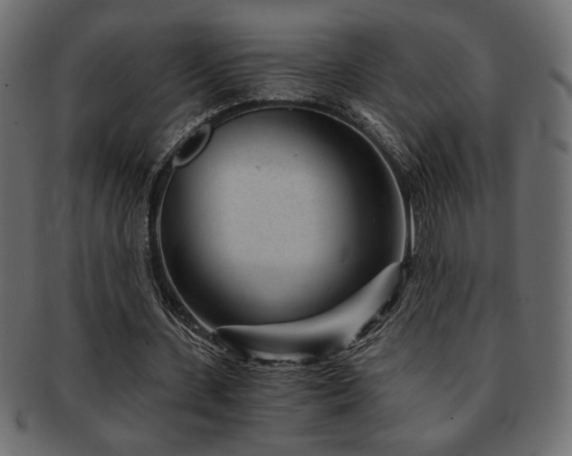 X0000093120531200709261330