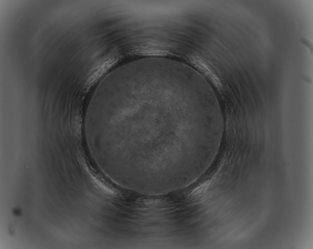 X0000093120533200709261330