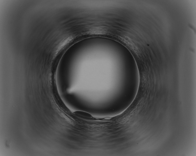 X0000093120535200709261330