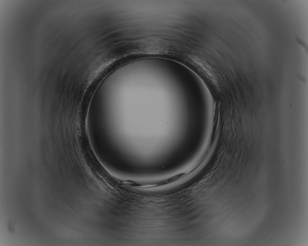 X0000093120536200709261330