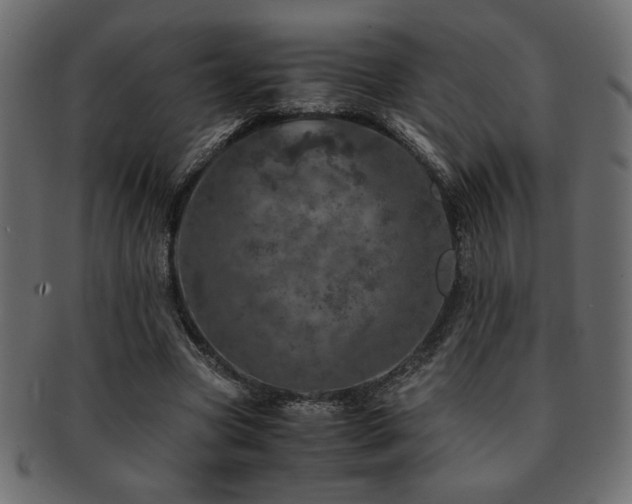 X0000093120537200709261330