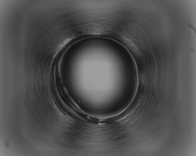 X0000093120540200709261330